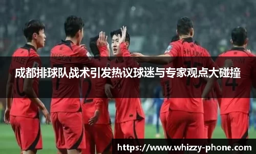 成都排球队战术引发热议球迷与专家观点大碰撞